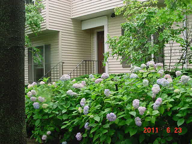 Residential/Commercial(s) for Sale